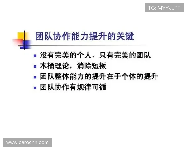 南京排球队团队协作能力提升显著创新高排名引发广泛关注与赞誉 南京排球队团队协作能力提升显著创新高排名引发广泛关注与赞誉
