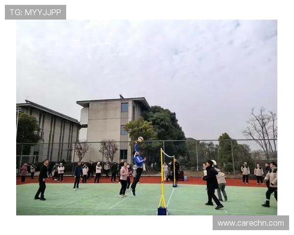 成都排球队灵活性分析及其对比赛表现的影响探讨 成都排球队灵活性分析及其对比赛表现的影响探讨