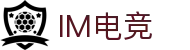 IM(股份有限公司)电竞-电子竞技平台